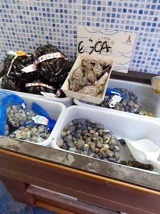 Pescheria L'ancora di Cialfi Irene via Luigi Mancinelli 36