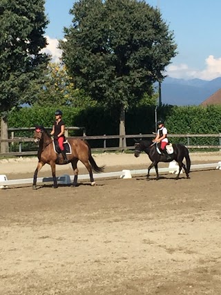 Centro Equestre Bresciano-Dressage-Chiari