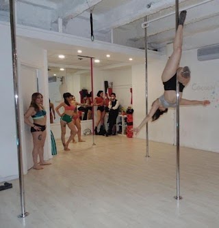 Cocoon Pole Dance Parma