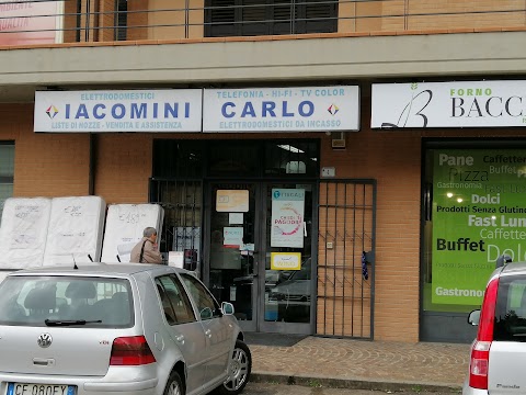 Iacomini Carlo