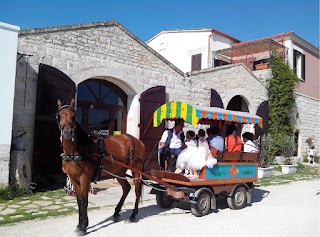 Agriturismo B&B Casale Torre San Magno