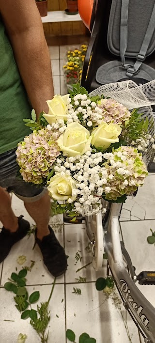 I fiori di Renè