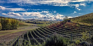 Azienda Agricola DENOMINATA Vacca Francesco & Mario di Saverio Vacca- Saverio Vacca +39 335/7540620 CANTINA SAVERIO VINI