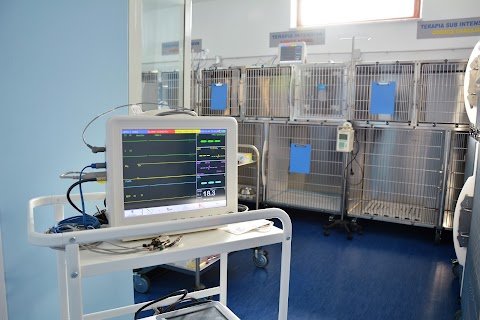 Veterinary Critical Care