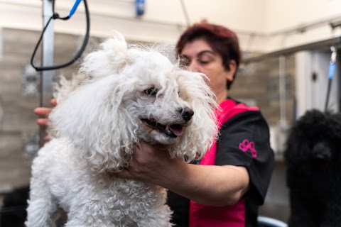 Strapazzami di Coccole | Toelettatura & Spa di Stano Loredana