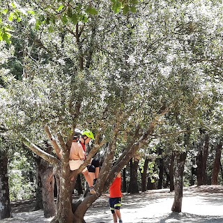 Toscanabike ASD - Escursioni Corsi Scuola MTB