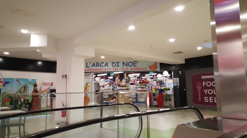 L'Arca di Noè