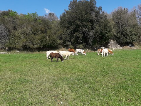 La Fattoria di Casacotta