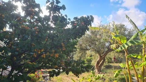 Villa Calcasacco casa vacanza