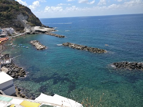 Associazione Nemo per la Diffusione della Cultura del Mare - Ischia