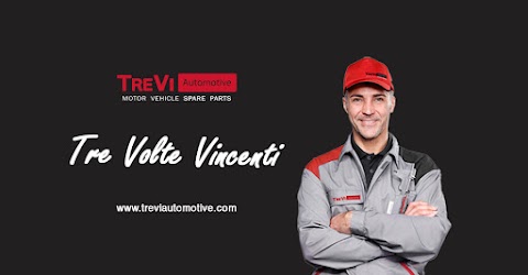 Trevi Automotive