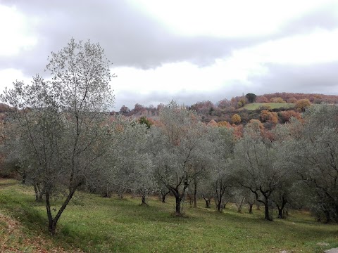 Centro Jobel - Residenza Artistica