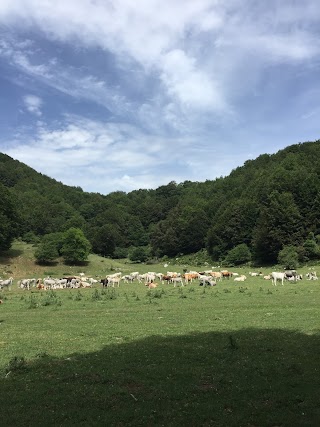 Sezione Club Alpino Italiano - Salerno