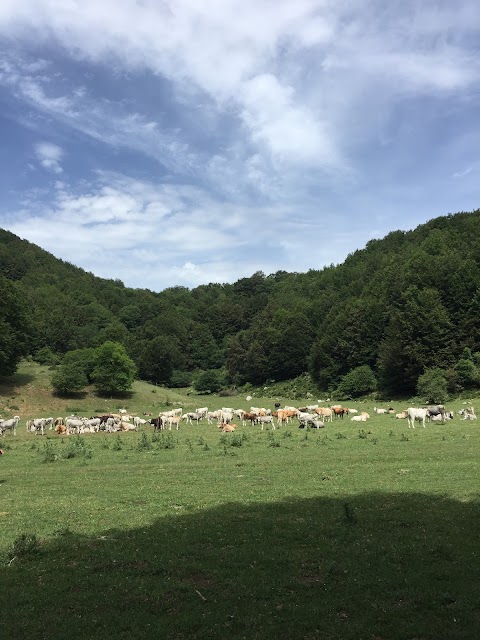 Sezione Club Alpino Italiano - Salerno