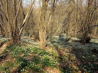 Sentieri Natura San Zenone degli Ezzelini