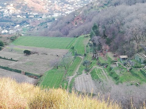 Monte Trippodi