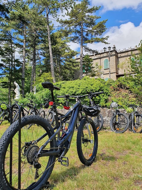 Mezzini Bike Center