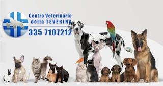 Centro Veterinario della TEVERINA