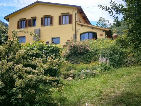 Porcigliano Olive Grove