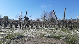 Lovera Franciacorta