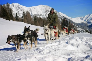 Centro Italiano Sleddog Husky Village