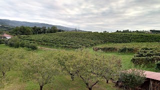 Tenuta Fortelongo