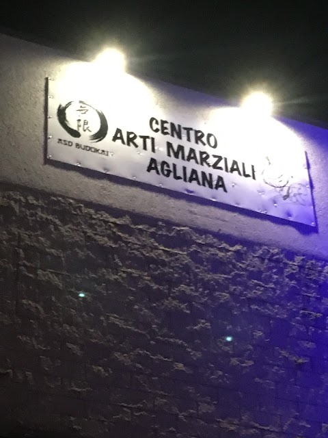 Centro Arti Marziali Agliana