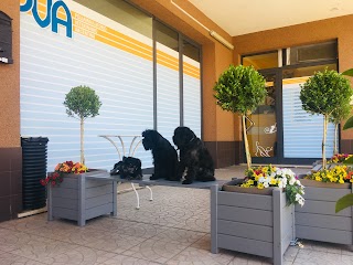 POLIAMBULATORIO VETERINARIO ARGENTINA