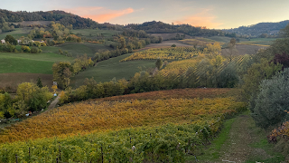 Azienda Agricola Vitivinicola Tenuta Vitali