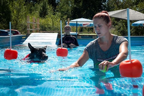 Piscina per cani Felicia