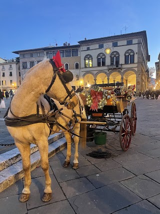 Lucca Horse Carriage - Carrozza Lucca