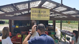 Verità per Giulio Regni Bauernmarkt