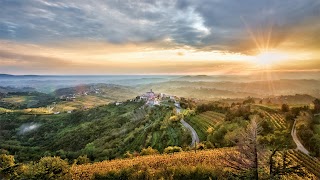 Hiša Marinič - Ekološka pridelava sadja, marmelade, žganja in likerjev