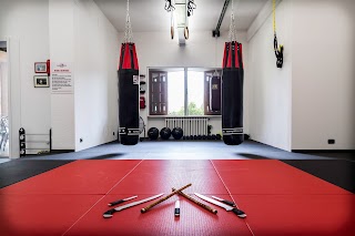 Visco Academy of Martial Arts Asd