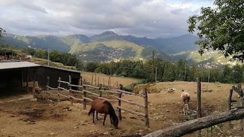 Agriturismo Monterosato