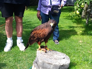 Centro di Falconeria Messaggeri Alati