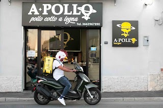 Apollo