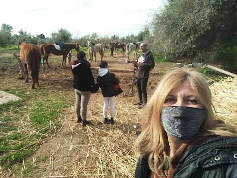 Maneggio Scuola Equitazione Passeggiate a Cavallo Vento Dell'Est