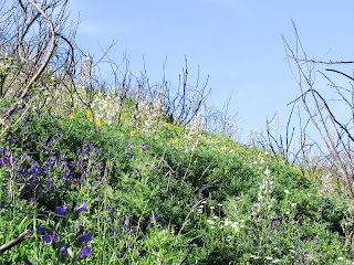 Parco Ecologico San Jachiddu