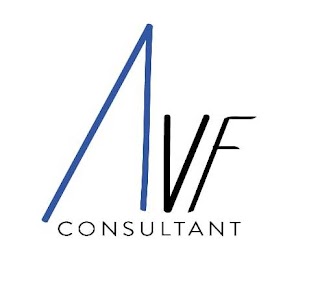 DVF Consultant Srl