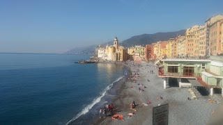 Caffè Gelatiera Pinguino