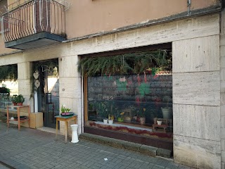 Fioreria Borgo Fiorito