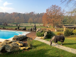 Centro Ippico La Pinetina