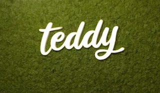 Teddy Kids Boutique