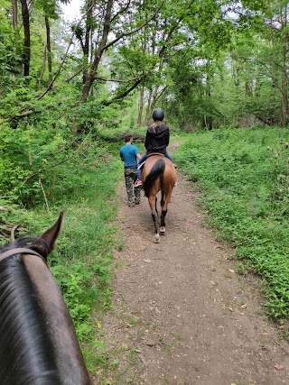 Cavalieri del Raggio Verde