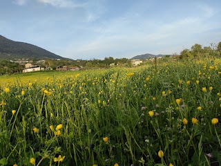 Landing Serrone Paragliding