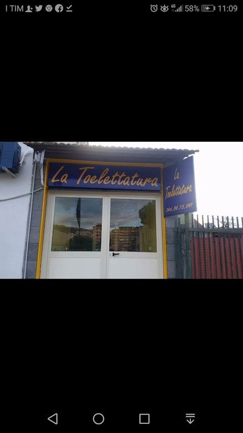 La Toelettatura