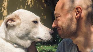 Dog sitter Eur Serafico