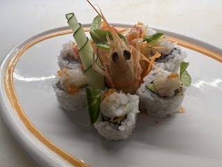 Sushi Tiger Alba