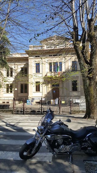 scuola Primaria “Isidoro Del Lungo”